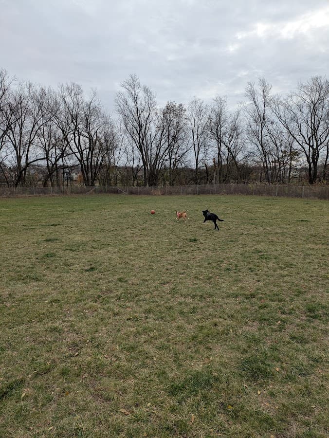 North Star Dog Park