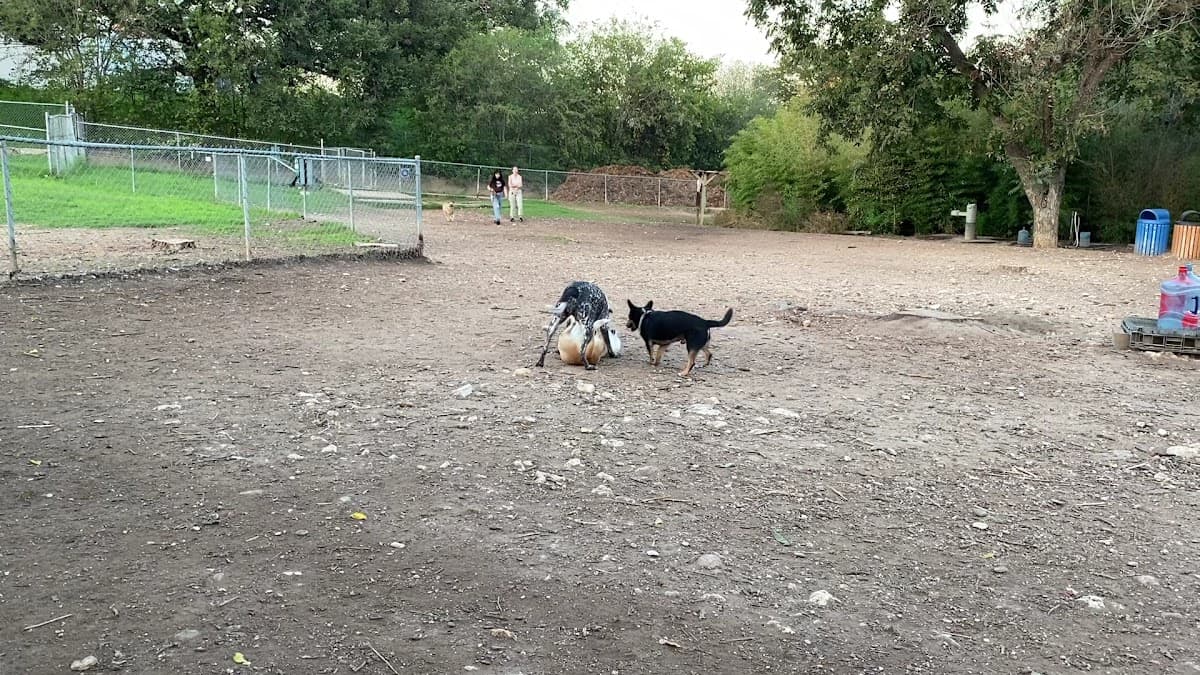 Norwood Estate Dog Park on E. Riverside