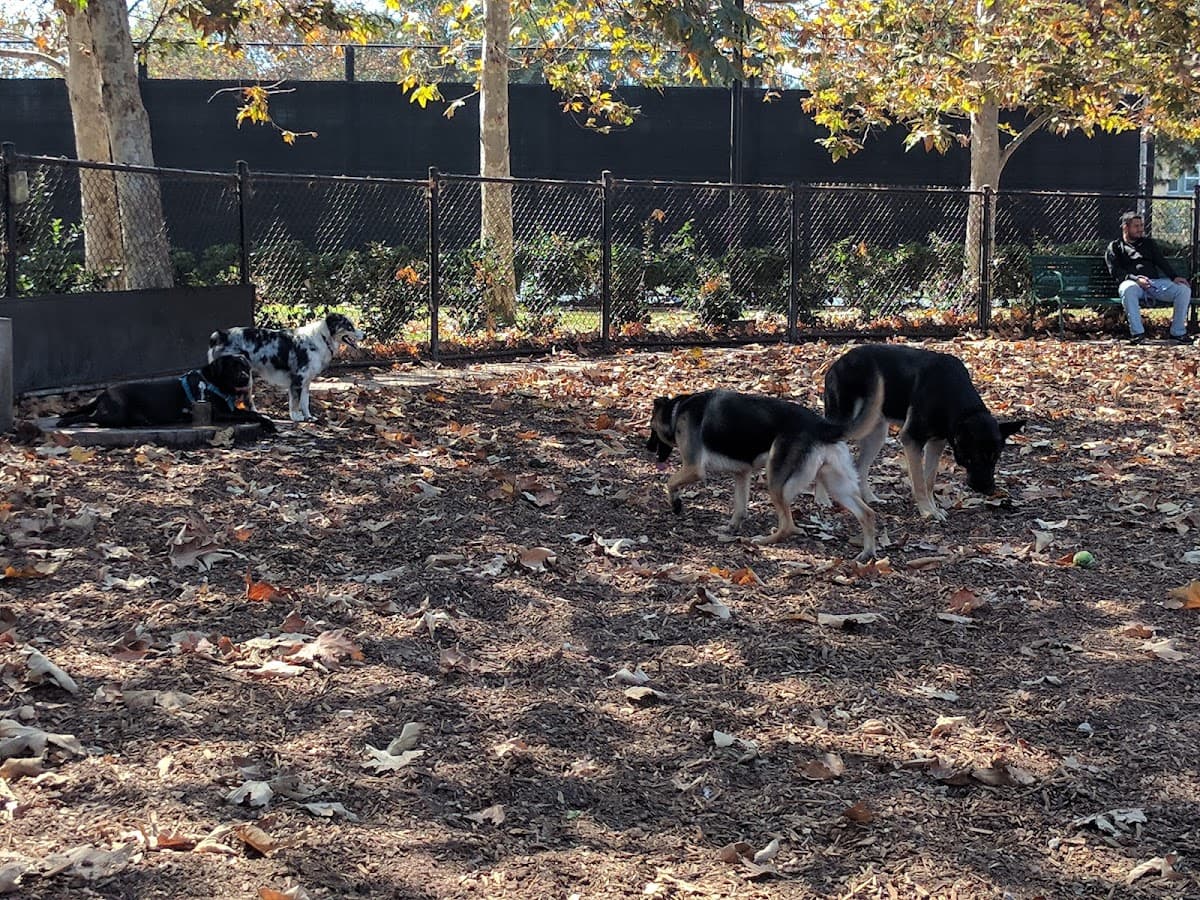 Oberrieder Dog Park