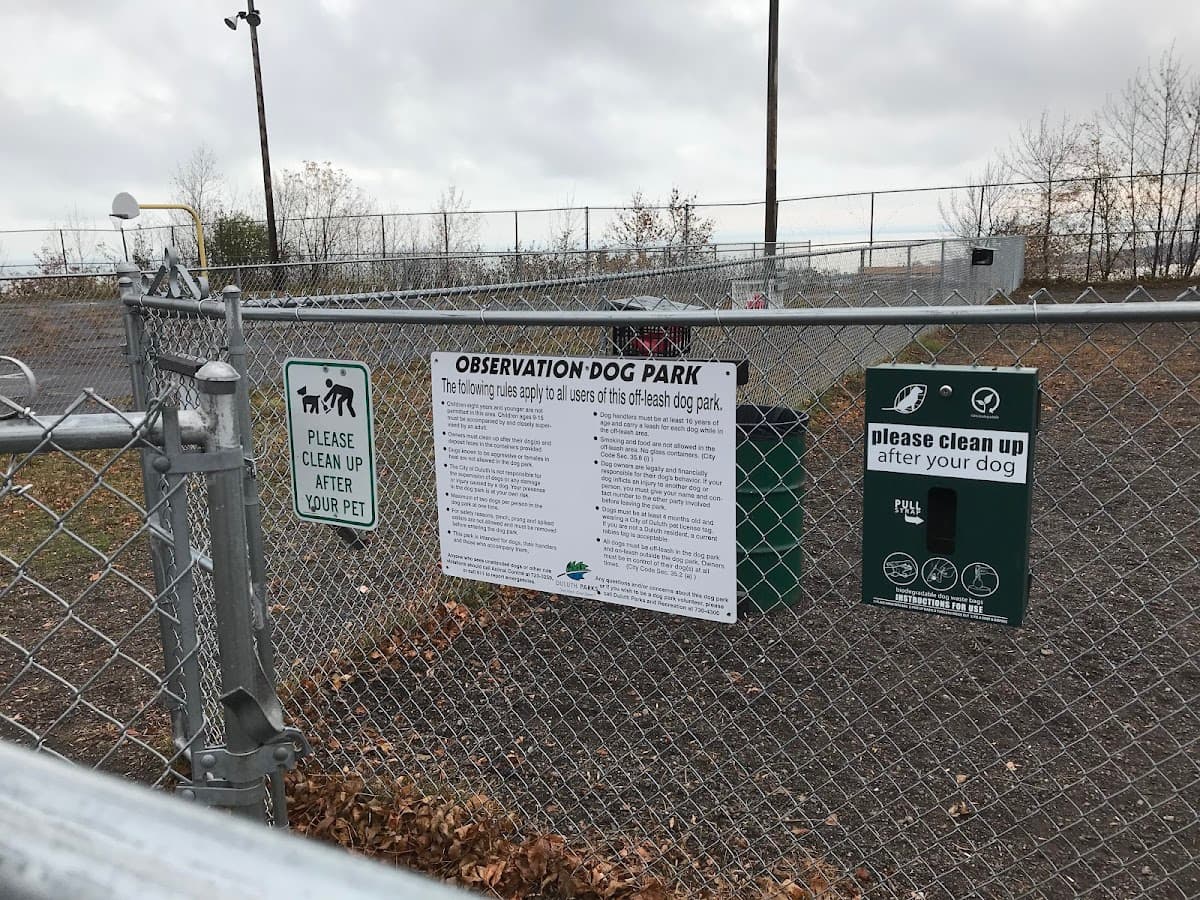 Observation Dog Park