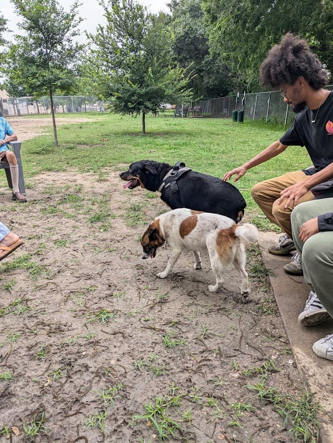 Officer Lucy Dog Park