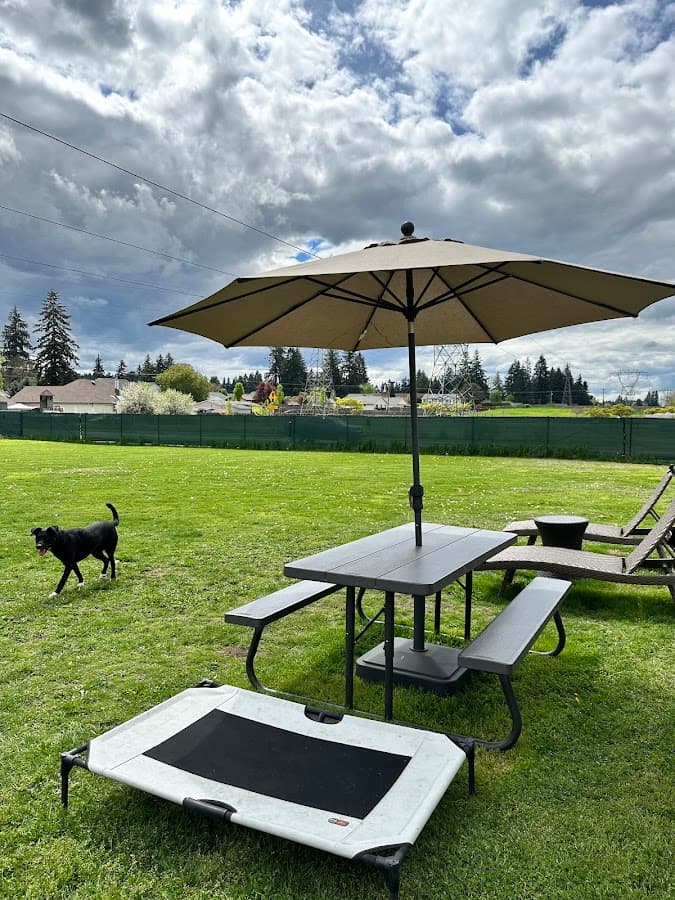 Open Acres Private Dog Park Rental