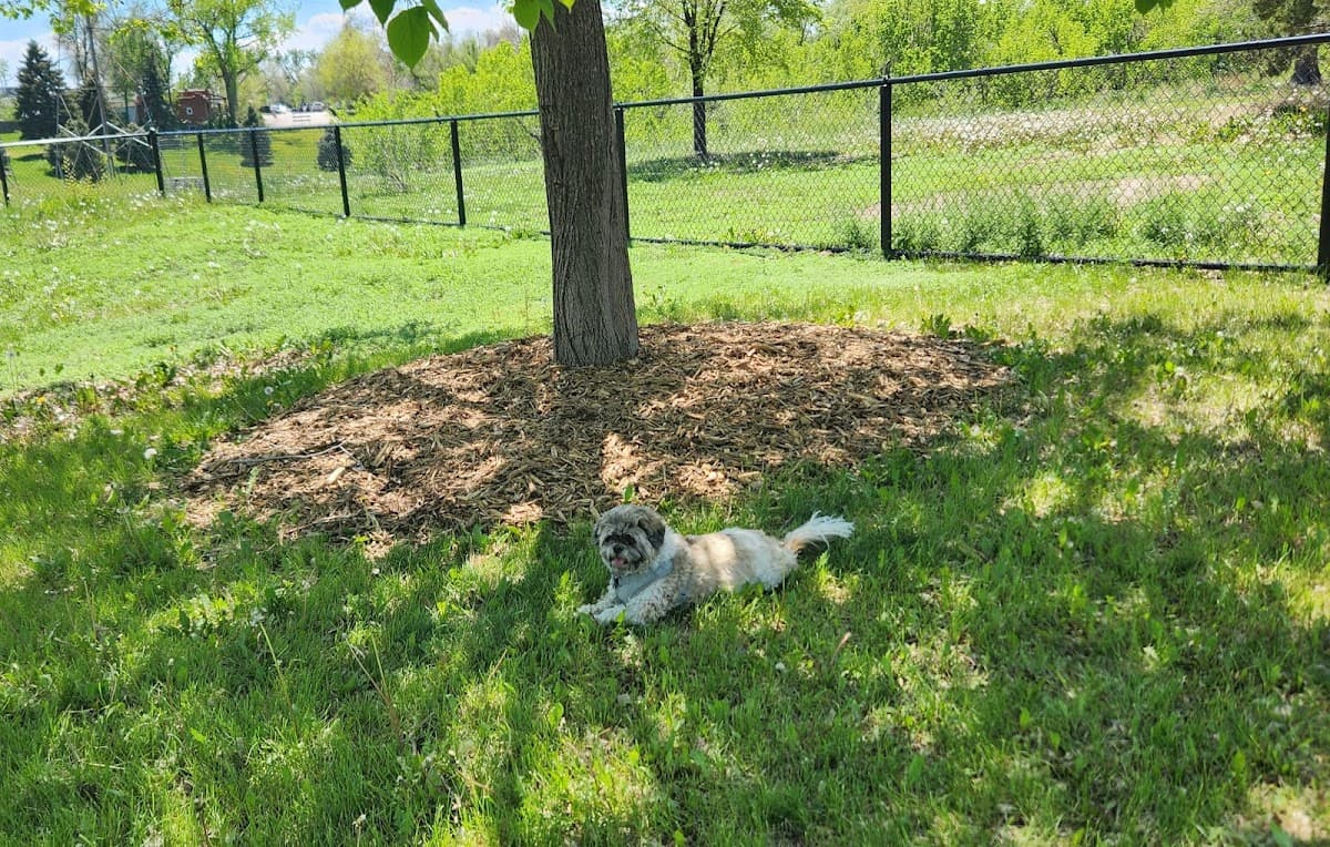 Paco Sanchez Dog Park
