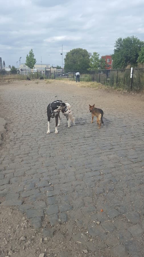 Palmer Doggie Depot