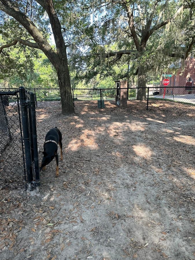 Park Avenue Dog Park