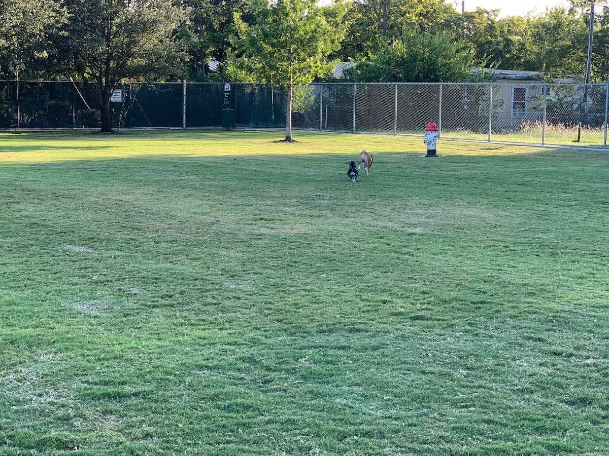 Pawsome Playground Dog Park