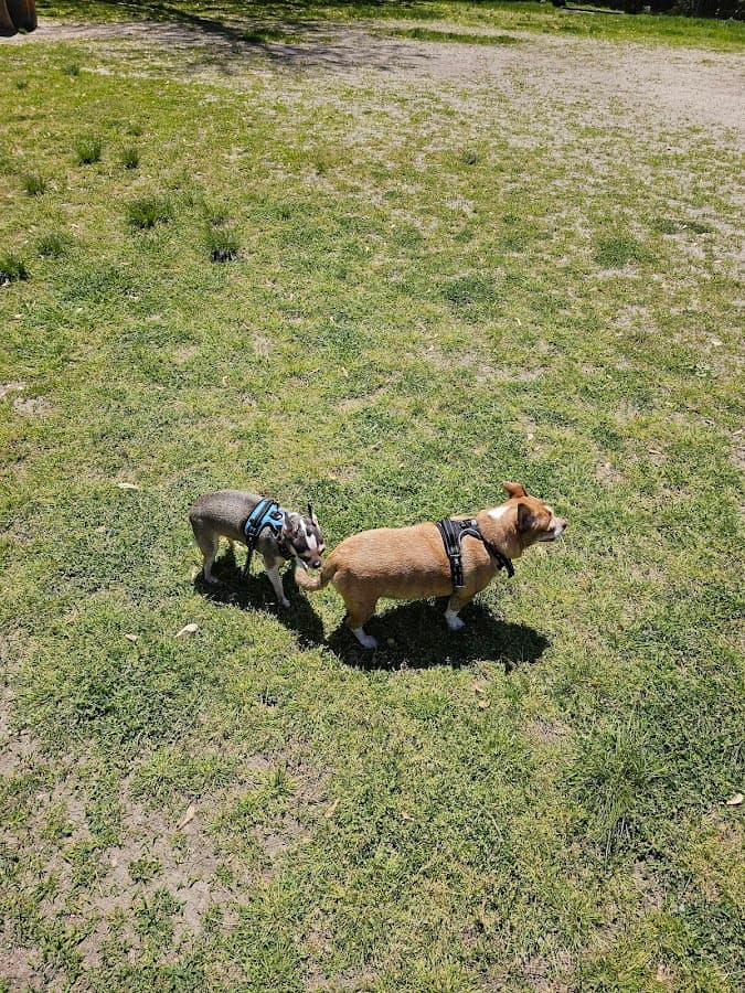 Pawtucket Dog Park (at Slater Park)