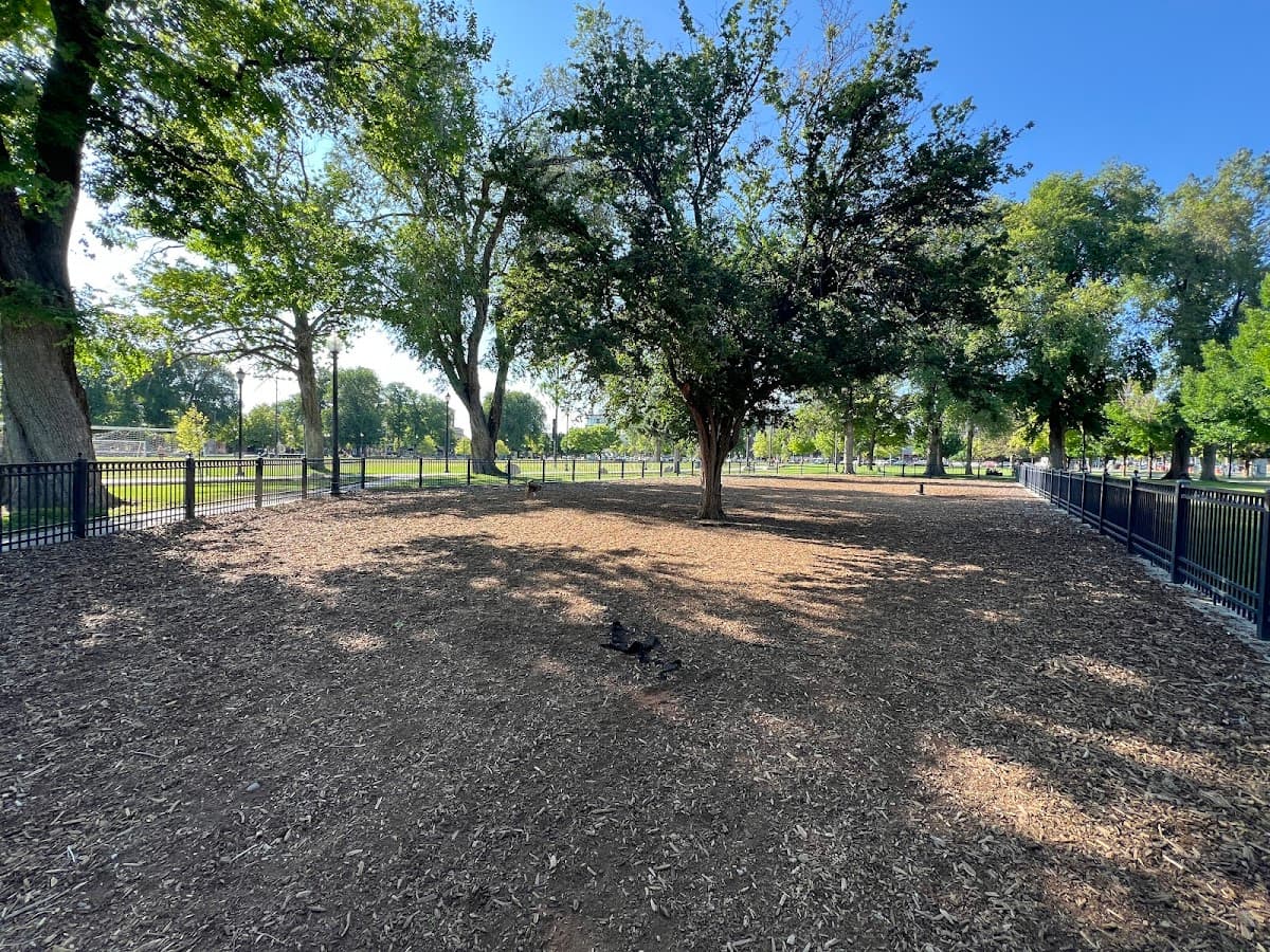 Pioneer Dog Park
