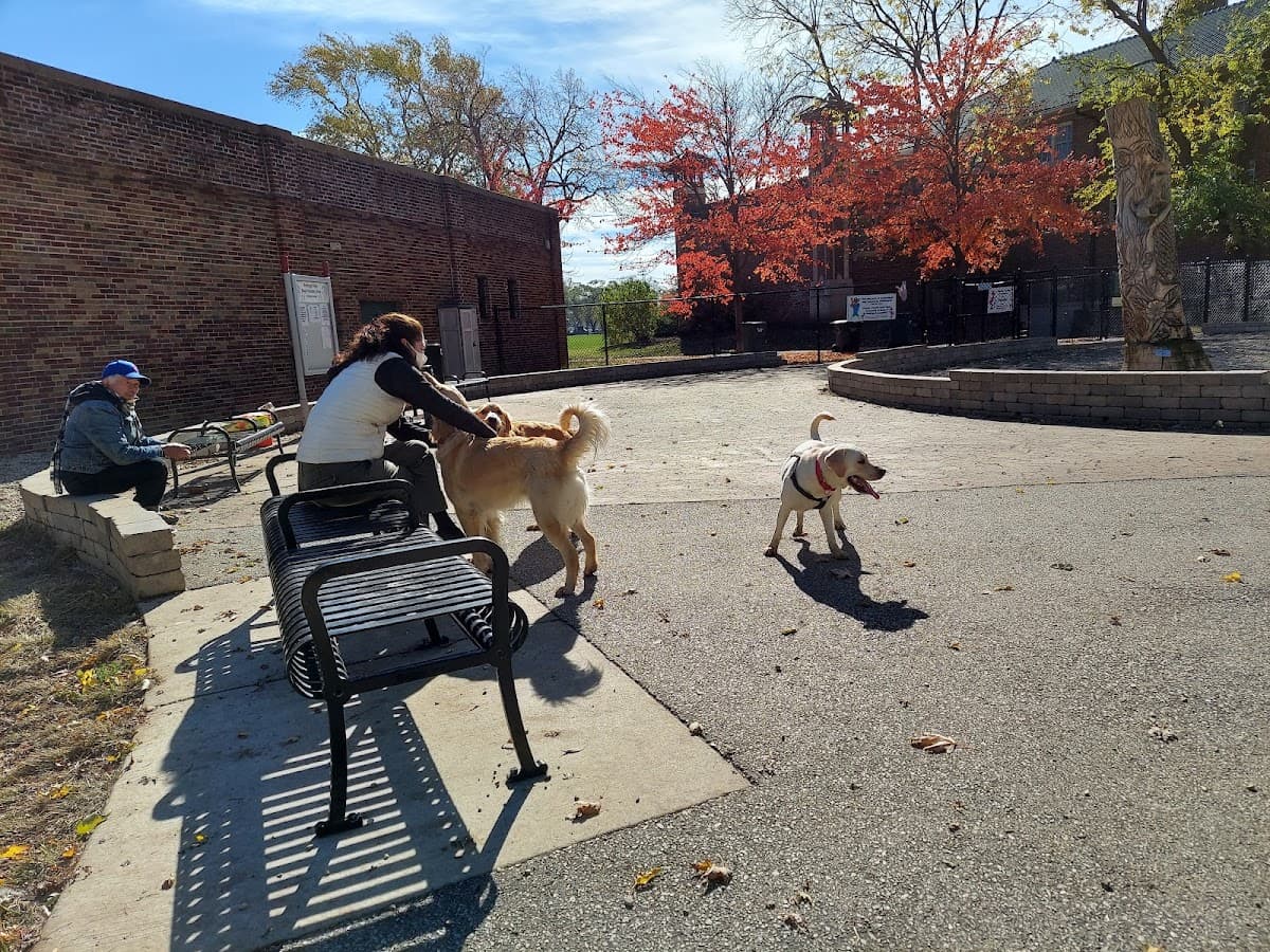 Portage Park Dog Friendly Area