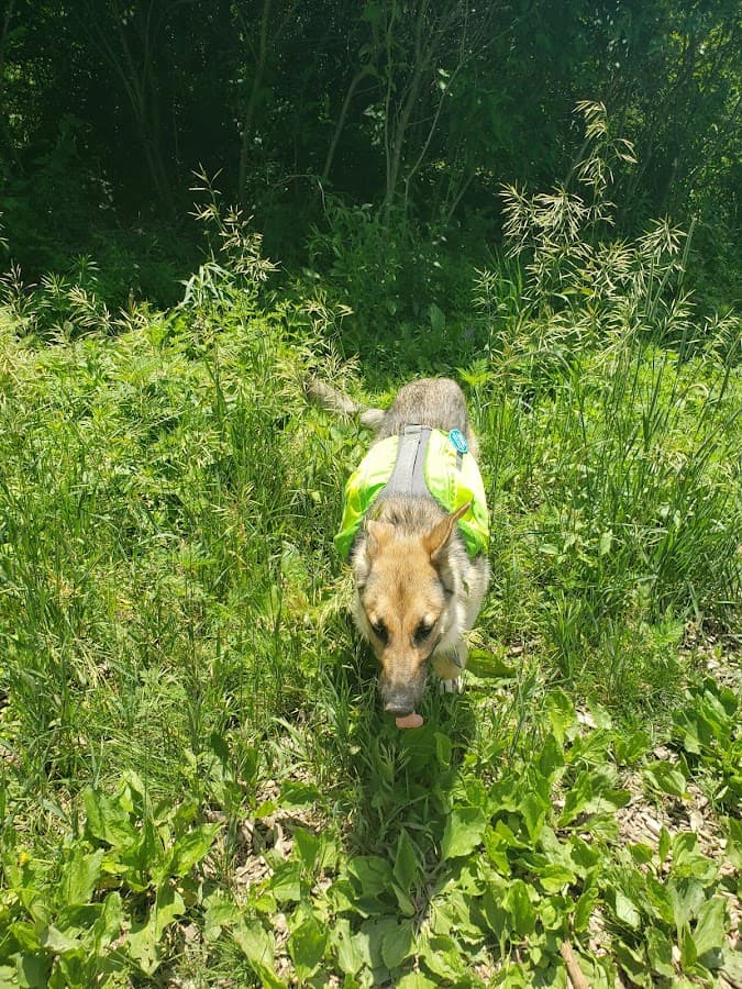 Prairie Moraine Dog Park