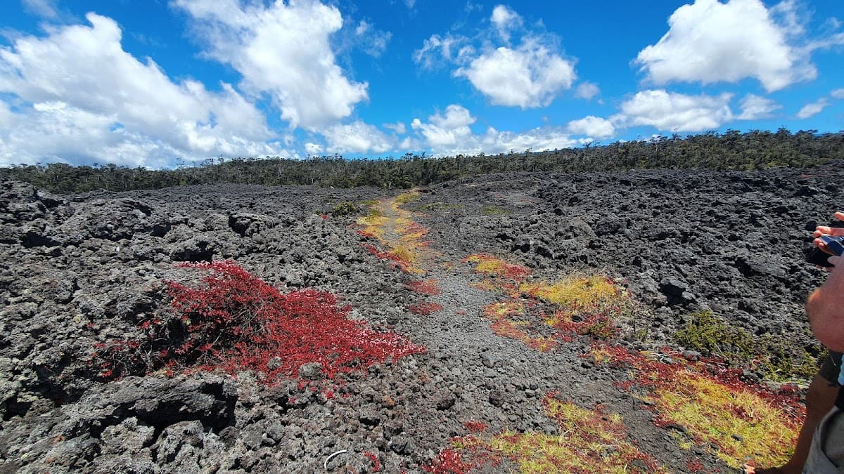 Pu'u O'o Trail