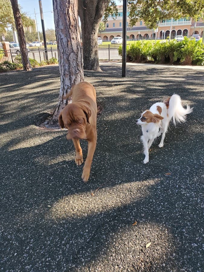 Queenie's Dog Park