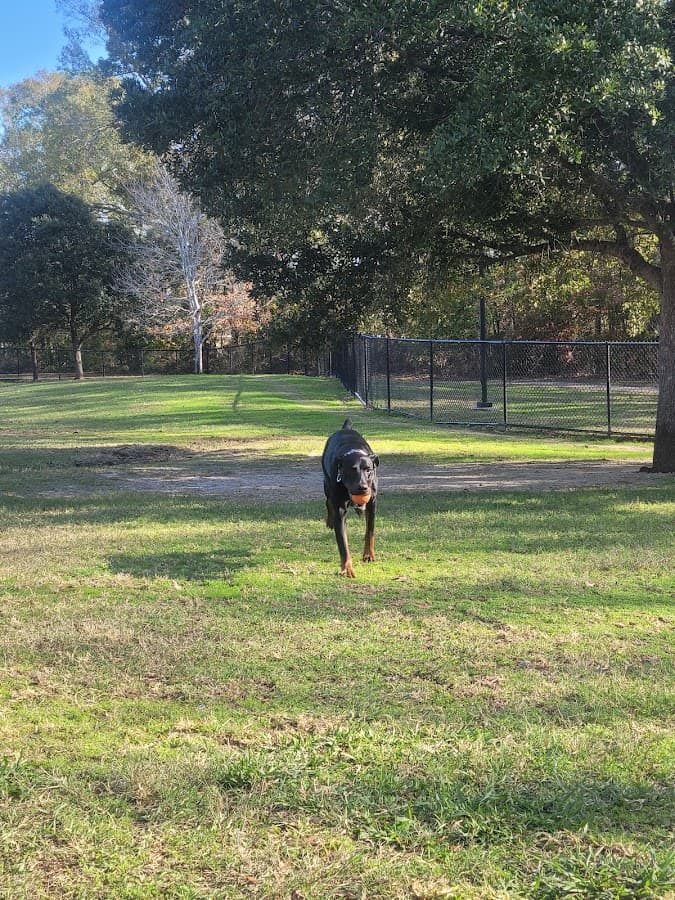 Raising Canes Dog Park at Forest Community Park