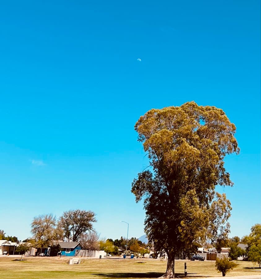 Ranch West Park, Basin