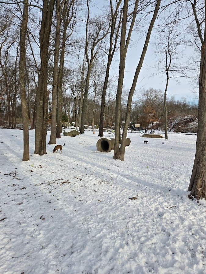 Randolph Dog Park
