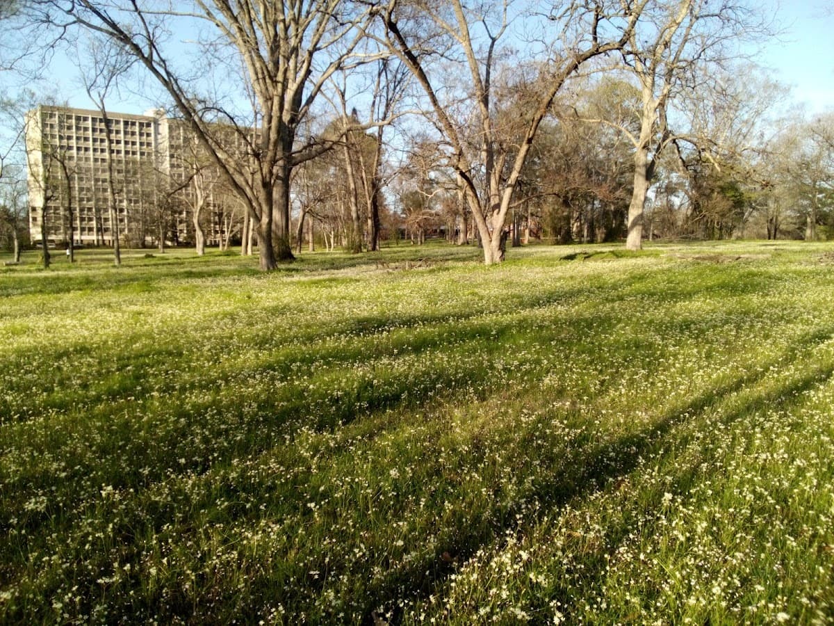 Reed’s Park on Claiborne