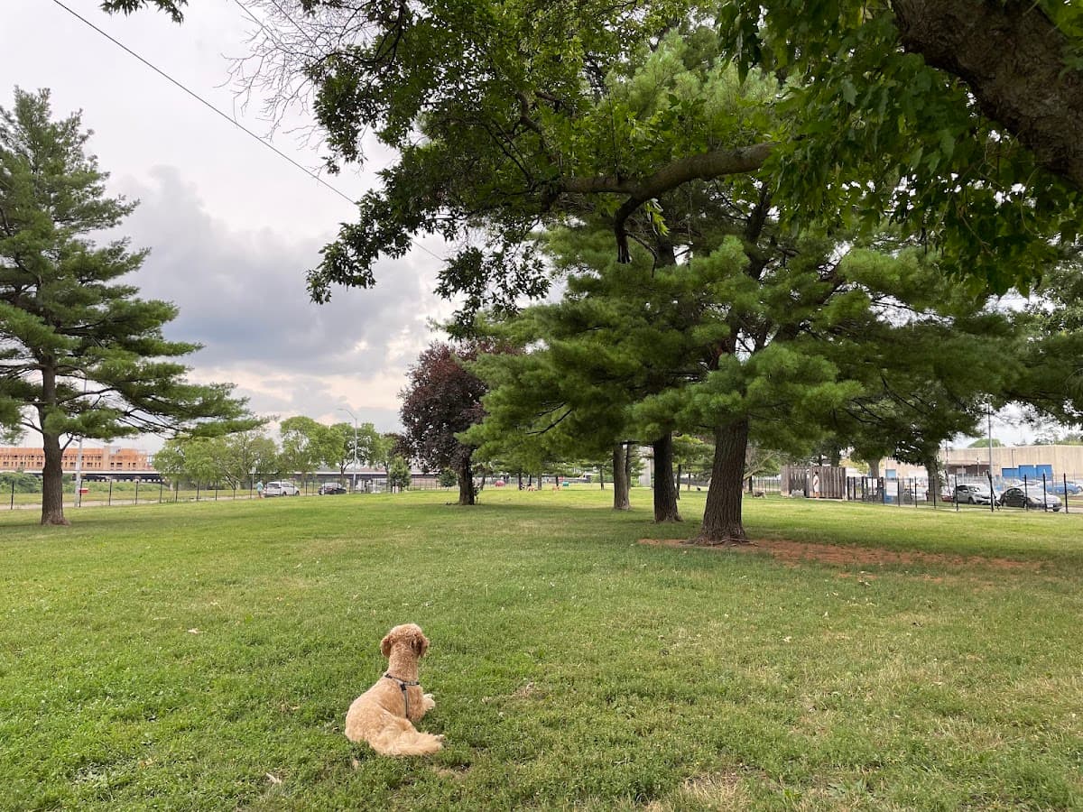 Riverwalk Dog Park