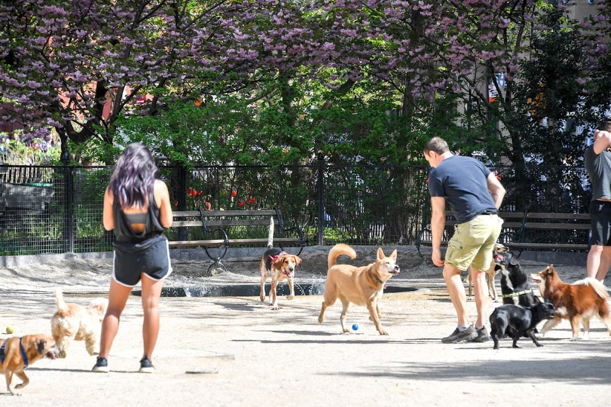 Robin Kovary Dog Run for Small Dogs