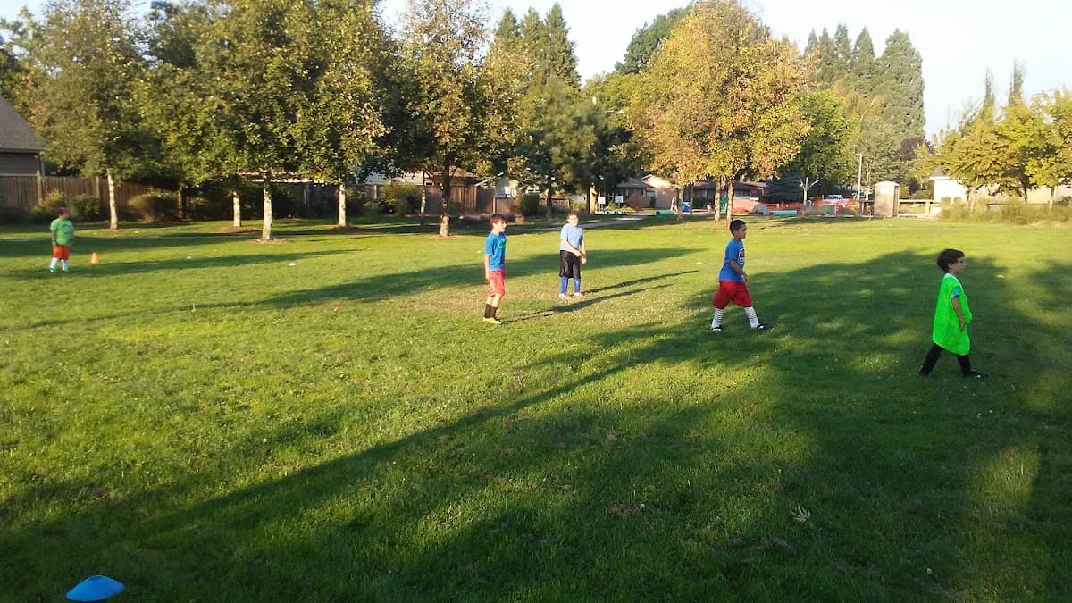 Rosetta Place Park