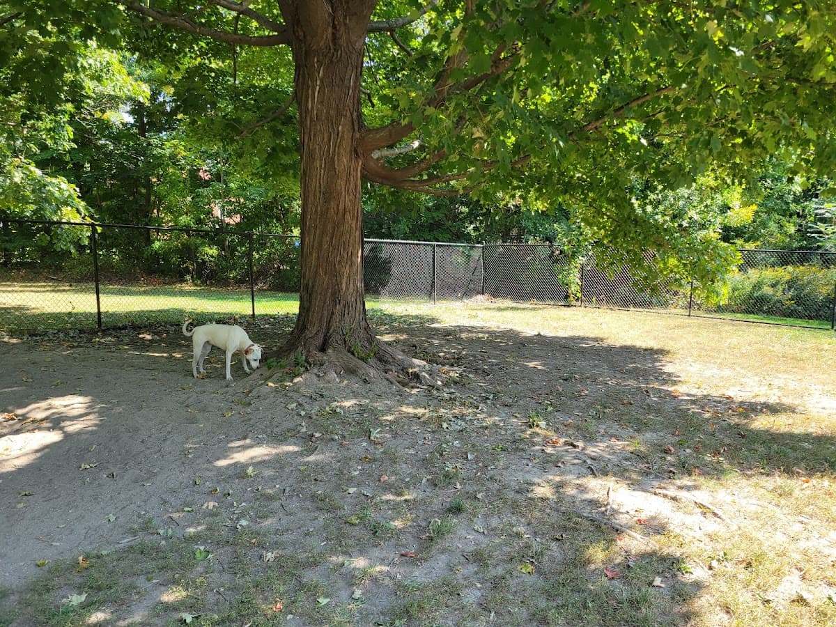 Saco Dog Park