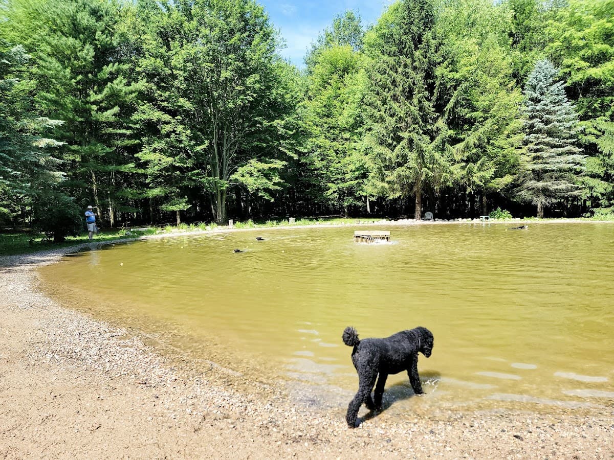 Shaggy Pines Dog Park