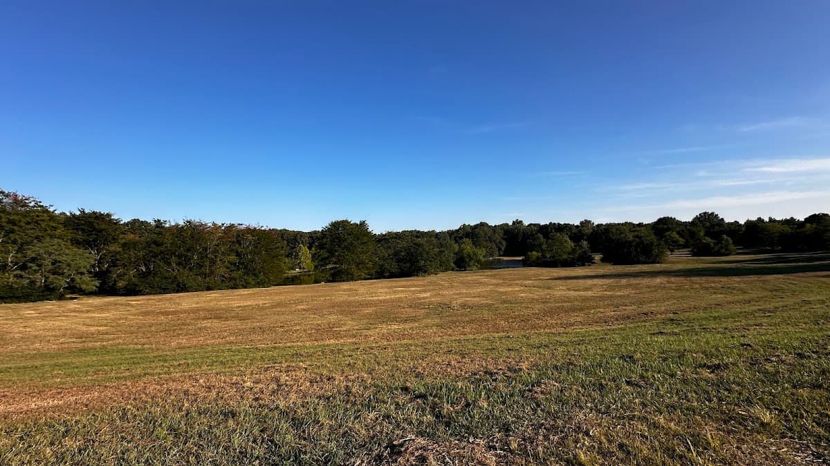 Shelby Farms Dog Park
