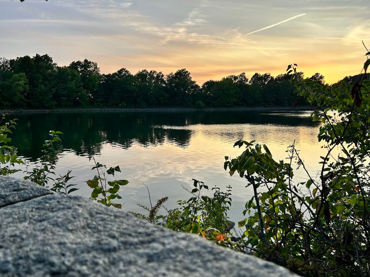 Silver Lake Dog Run