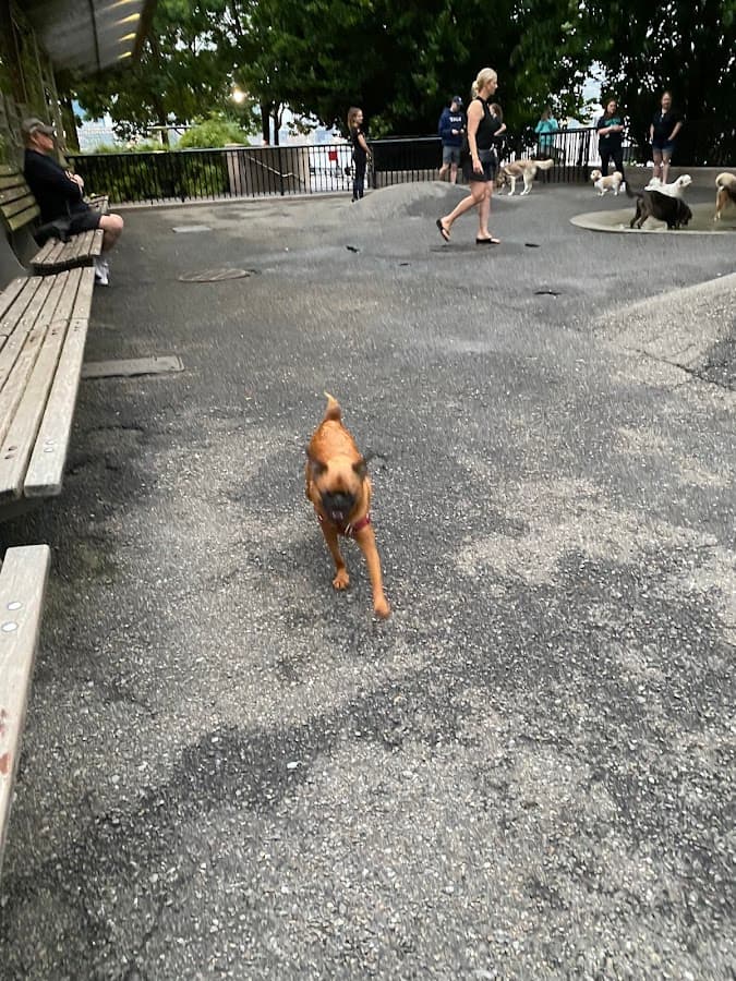Sirius Dog Run