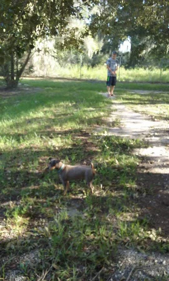 South Mandarin Library Park (not off leash dog park)