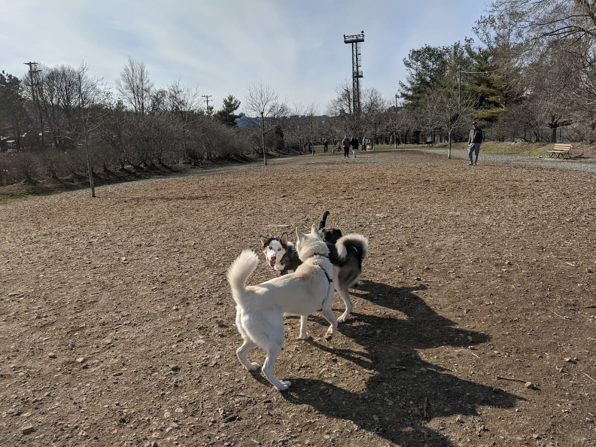 South Side Dog Park