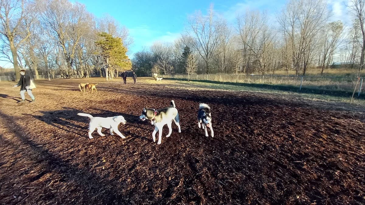 St. Anthony Parkway Off-Leash Dog Park