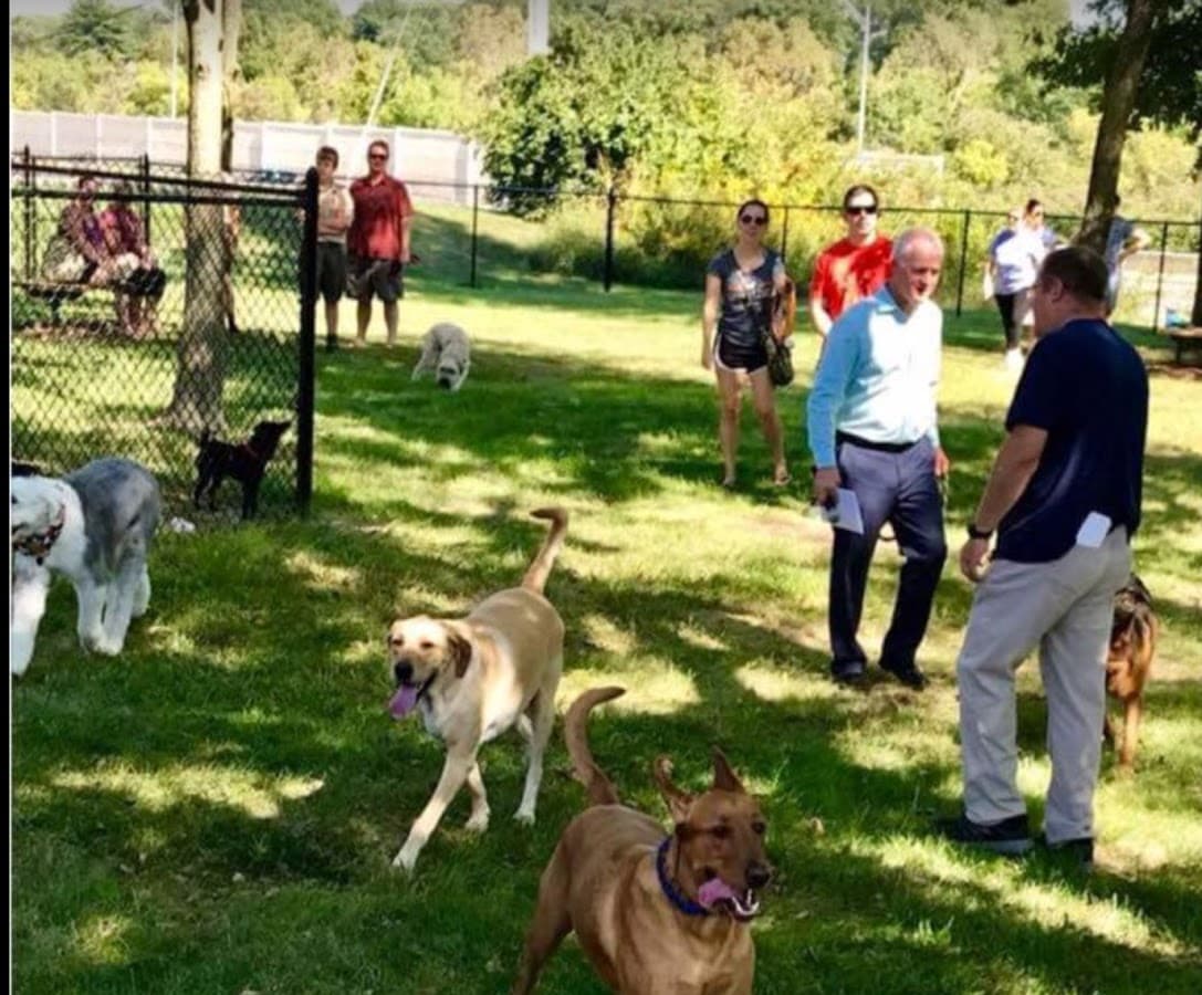 St. Johns Community Dog Park