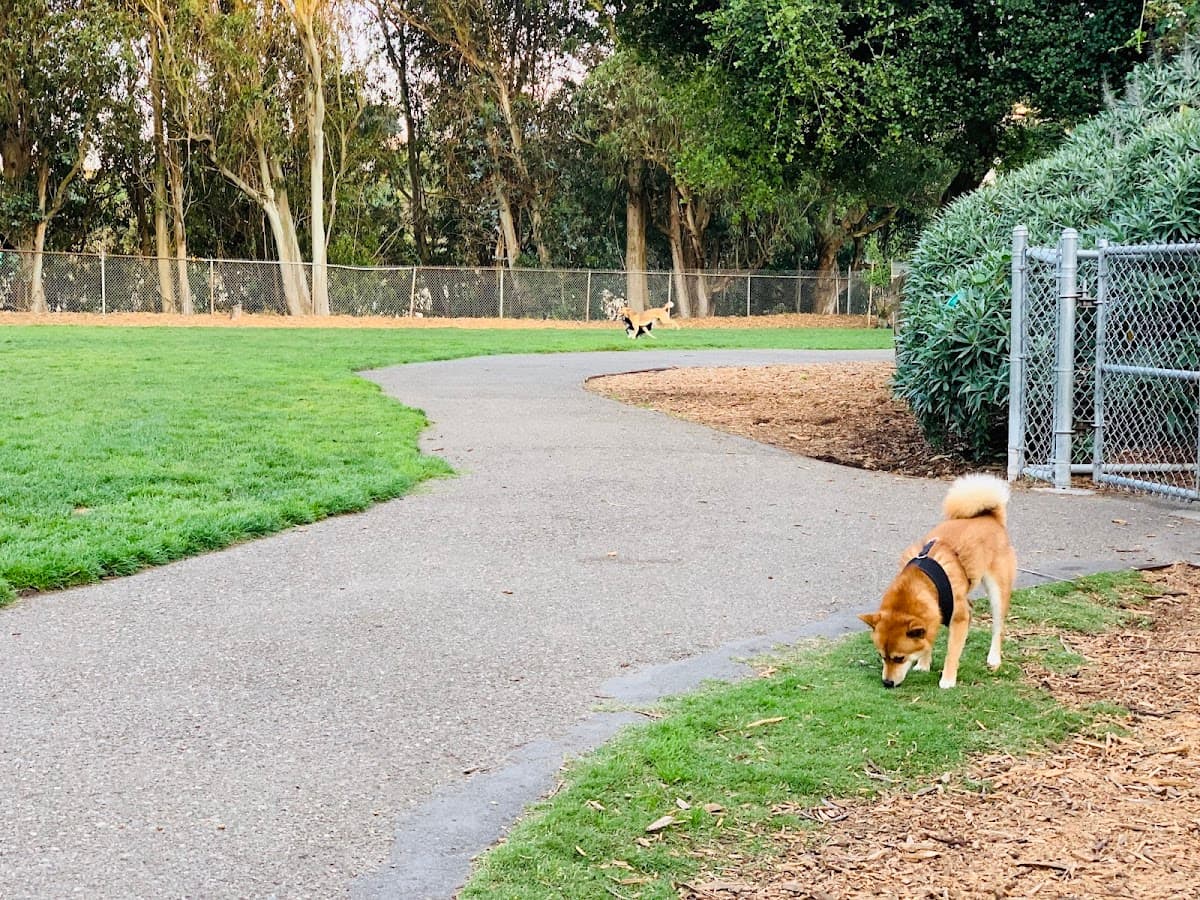 St. Mary's Dog Park