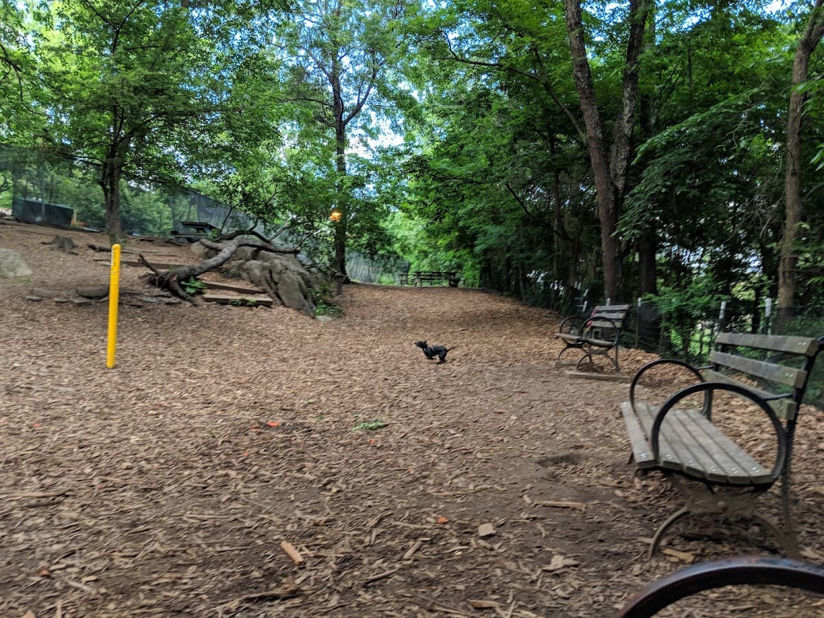 St. Nicholas Park Dog Run