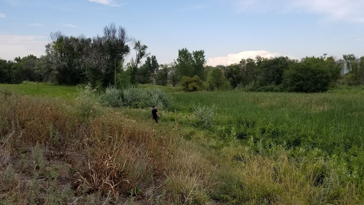 Summer Valley Park