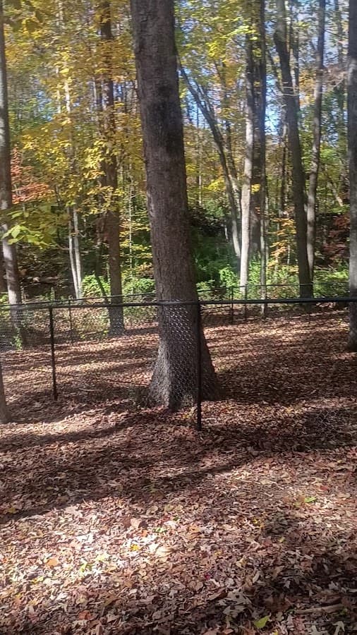 Summerfield Paw Park