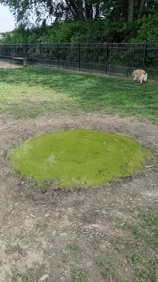 Summit Park Dog Park