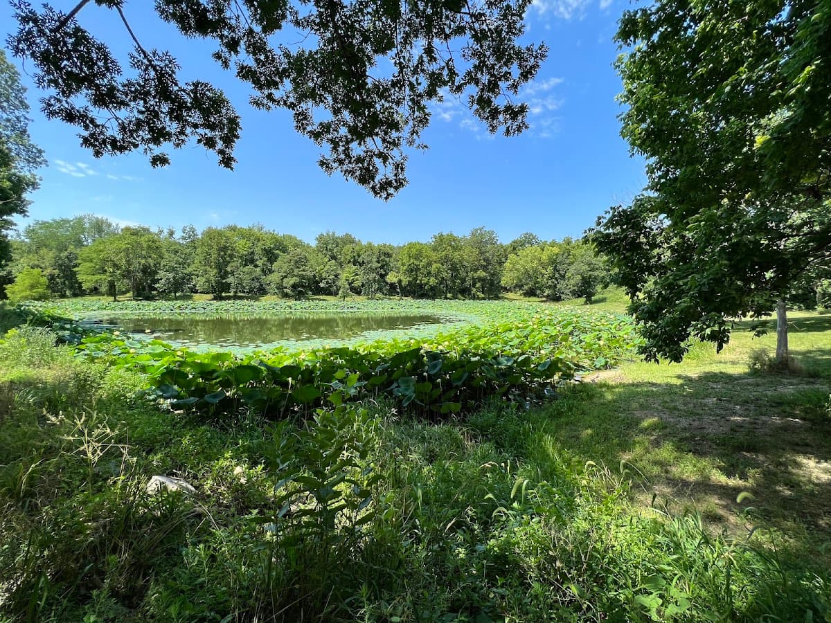 Tails & Trails Dog Park at Queeny Park(membership)
