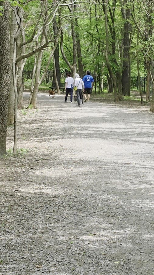 Tom Sawyer Dog Park