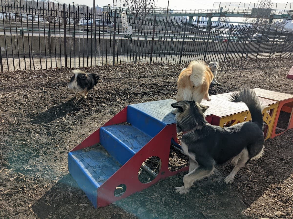 Tom's Dog Run