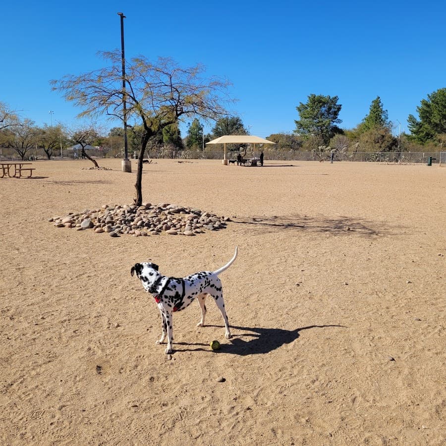 Udall Dog Park