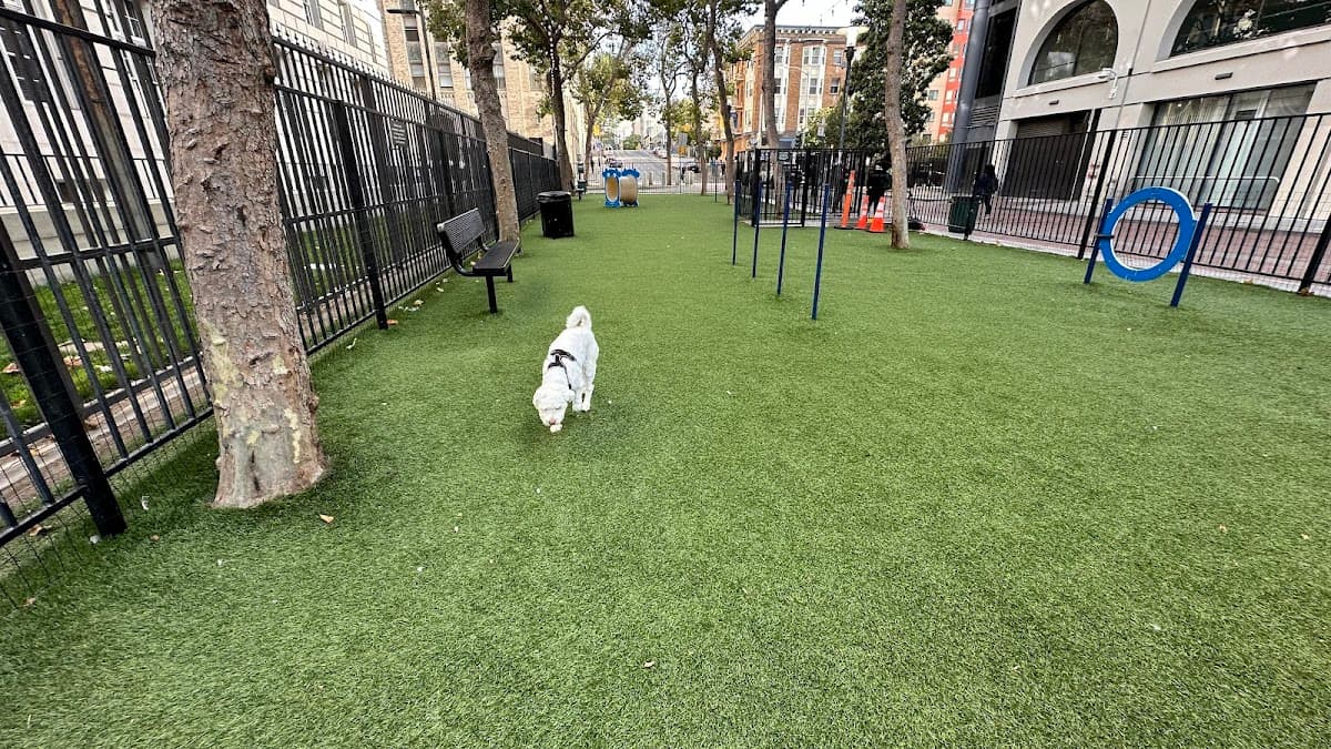 U.N. Plaza Dog Park