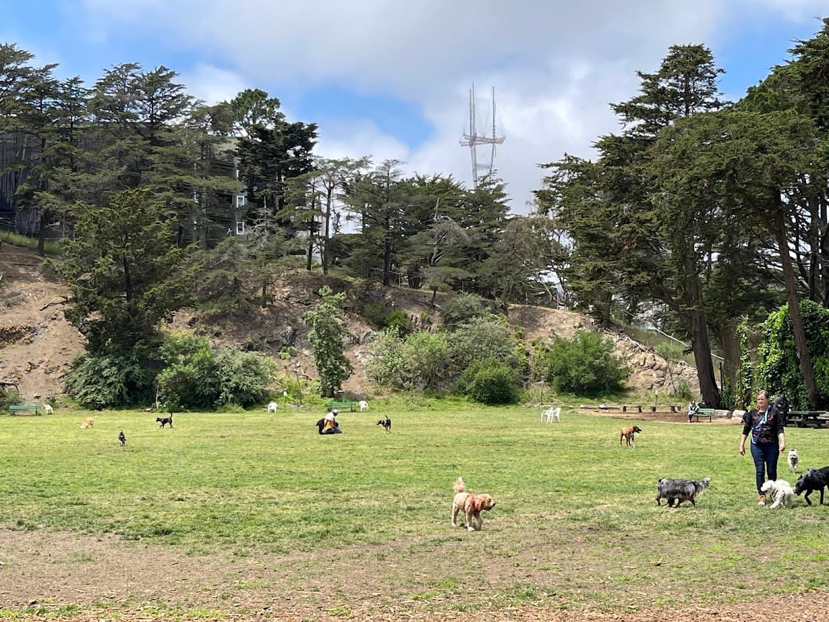Upper Douglass Dog Play Area