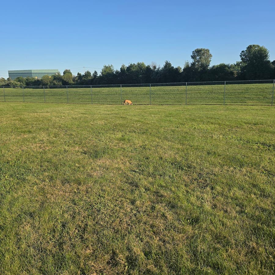 Upper Macungie Grange Park Dog Park