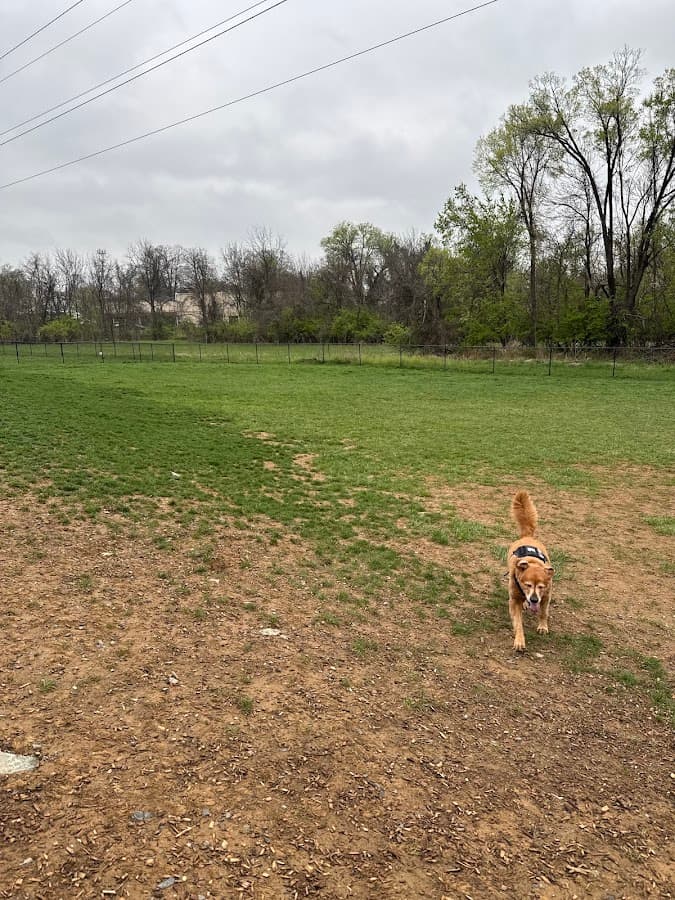 Uptown Dog Park