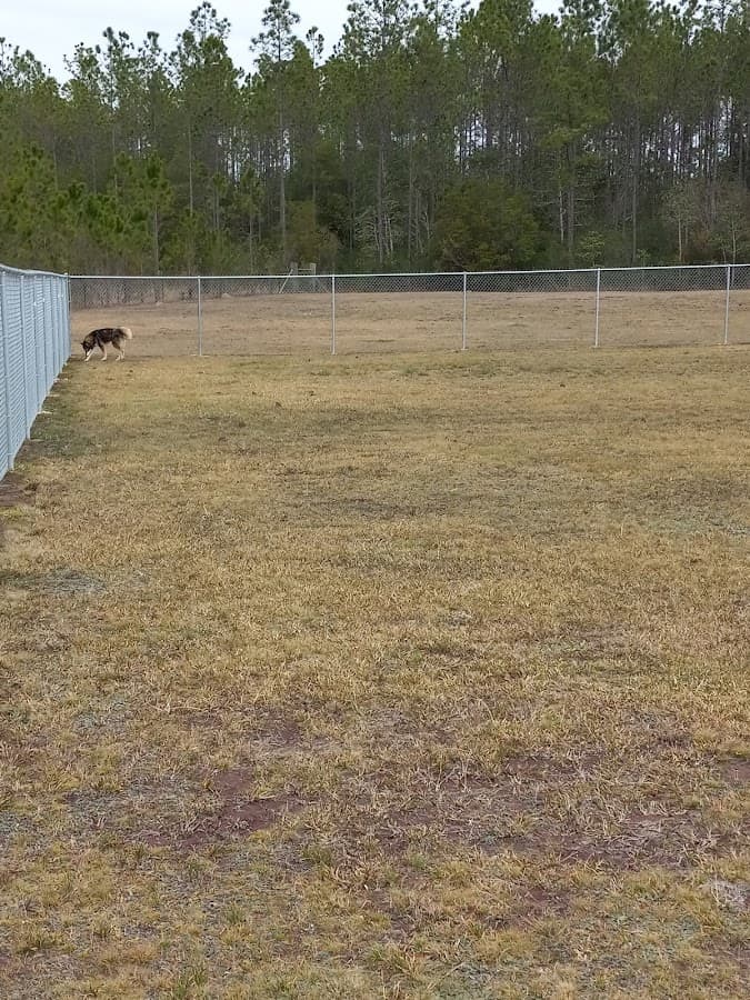 Vancleave Dog Park
