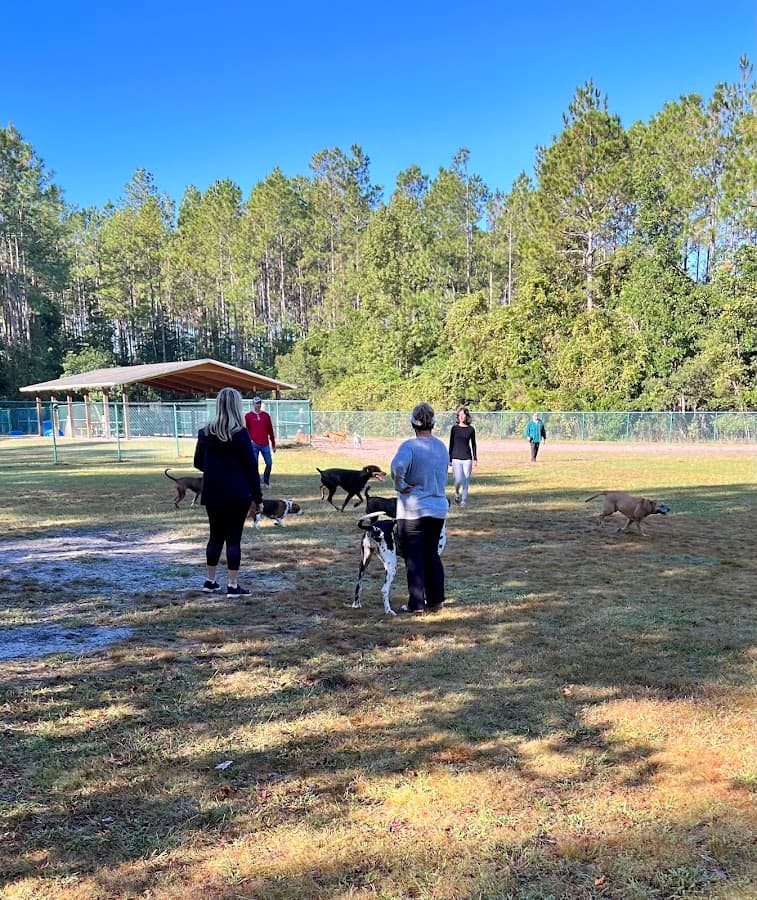 Veterans Park Dog Park