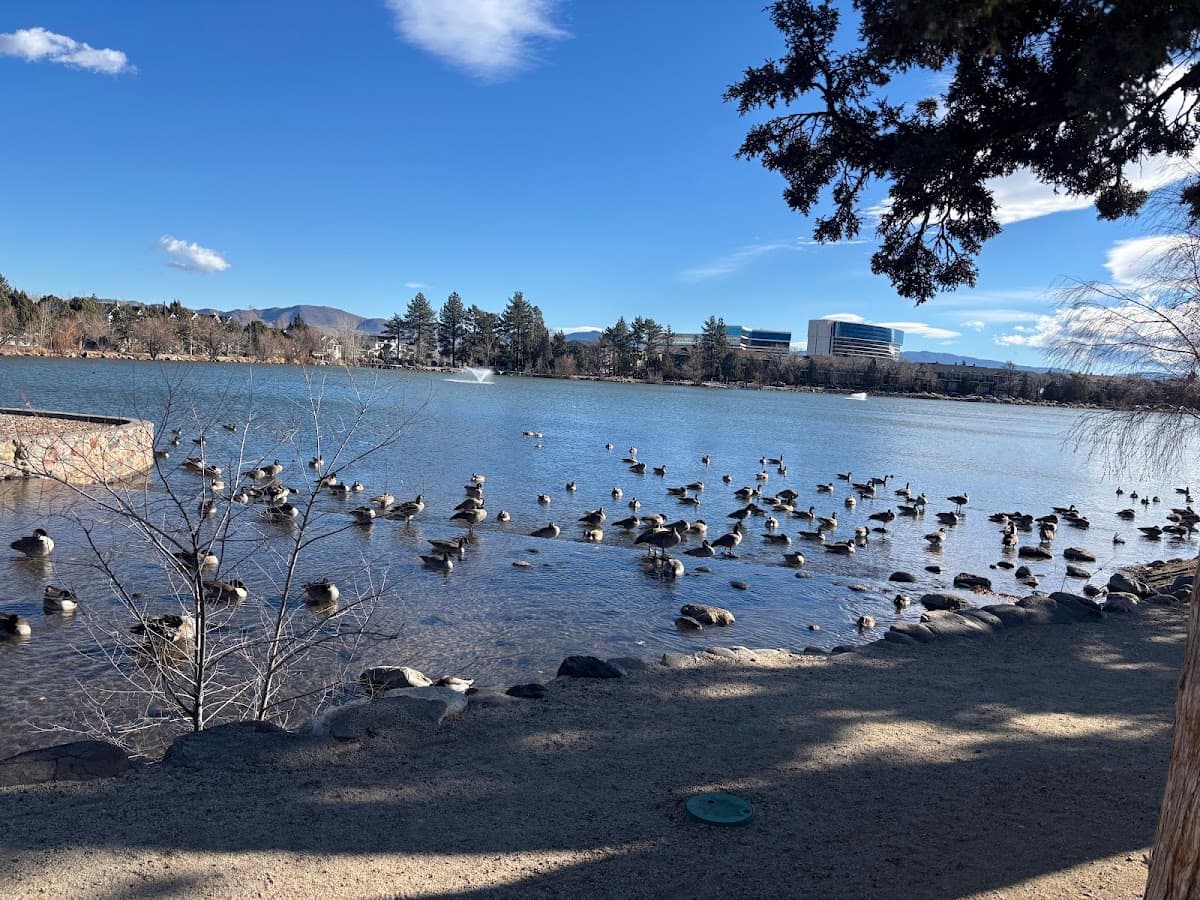 Virginia Lake Dog Park