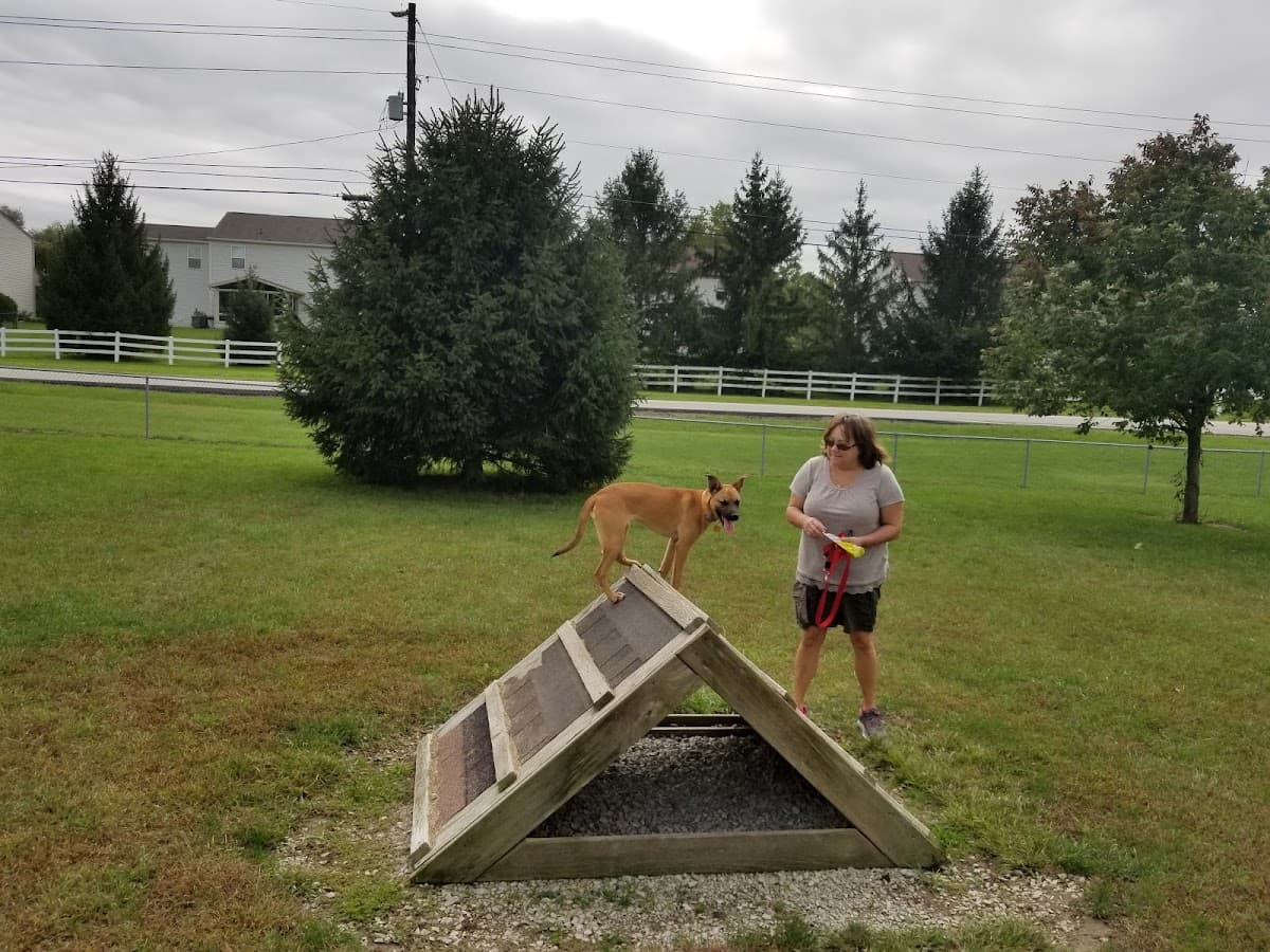 Waggin' Tails Bark Park