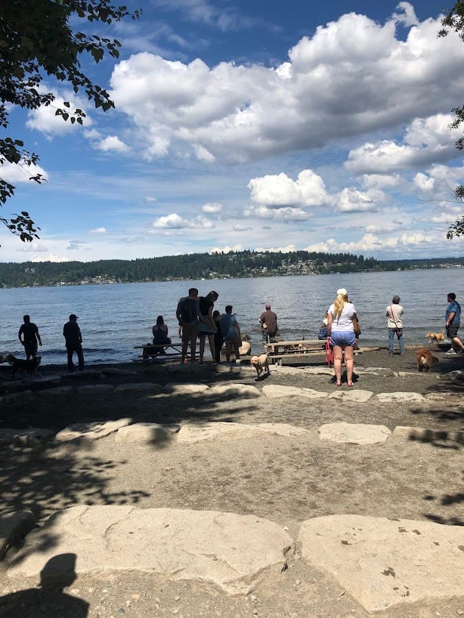 Warren G. Magnuson Park Off Leash Area